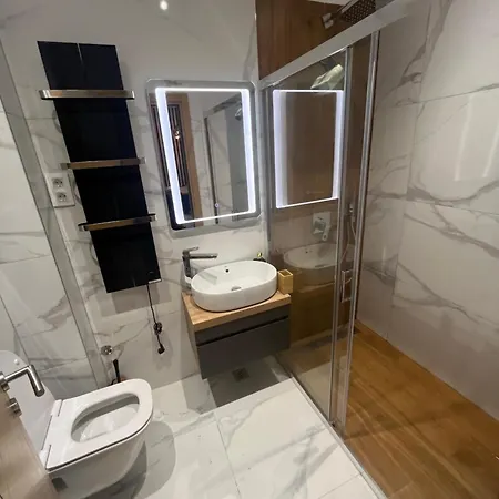 公寓 Lux Blagojevic 兹拉蒂博尔