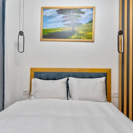 公寓 Lux Blagojevic *